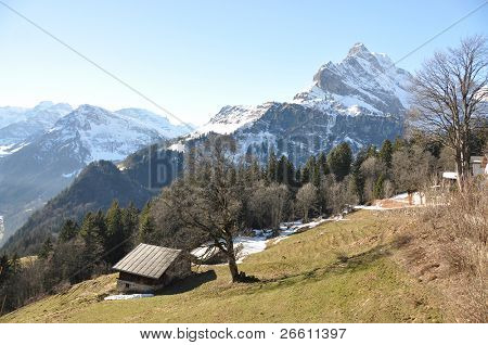 Ortstock 装载 2717 米。Braunwald，瑞士