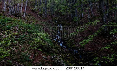 Landscape Of Mavrovo National Park With Mountain, Fyr Macedonia