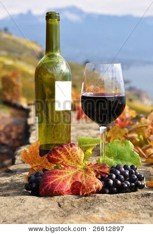 Glas rødvin på terrassen vingård i Lavaux region, Schweiz