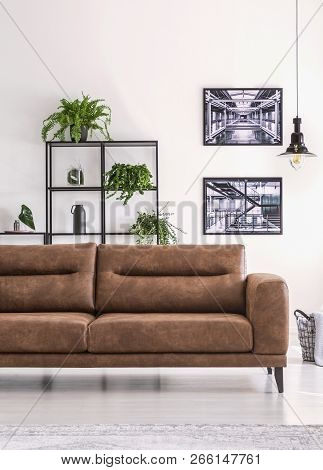 Shelf With Green Plants Behind Big Comfortable Leather Sofa In White Living Room With Industrial Pos