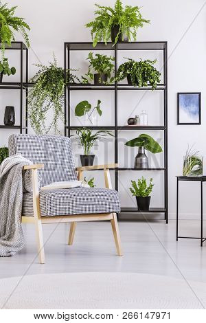 Patterned Vintage Armchair With Blanket And Book On It In White Modern Home Interior With Lot Of Pla