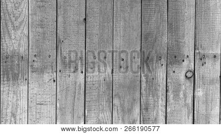 Boards In A Row, Wooden Fence, The Background Of The Boards