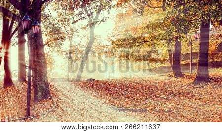 Autumnal Fantasies With Mist And Beams Of Sunlight, Early Morning In Autumnal City Public Park, Euro
