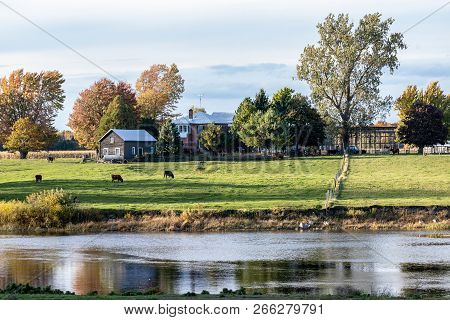 Horizontal Of A Farm Home With Cows Grazing On The Pasture Land With Autumn Trees And Blue Skies Nea