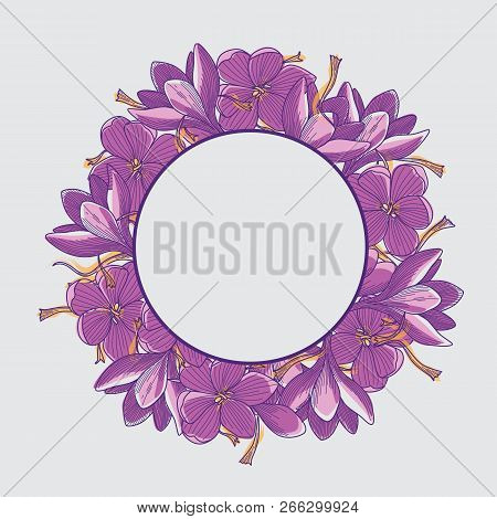 Wreath Of Purple Crocus Flowers And Orange Saffron Threads Template On Grey Background