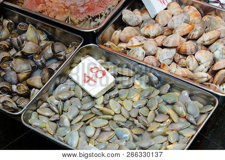 Selling Fresh Seafood, Trays With Various Shells -  Manila, Surf Clams, Ocean Quahogs, Close Up. Hon