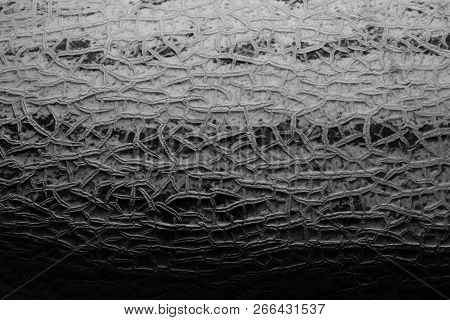 The Surface Of The Melon Texture Background Close-up