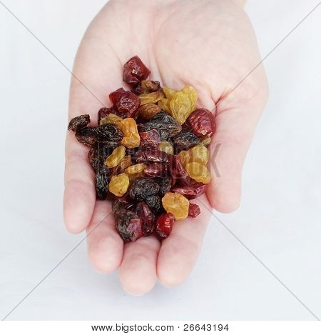 Russin och tranbär i en hand