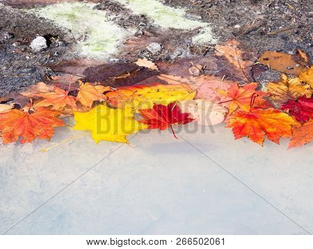 Autumn Leaves In Colorful Hot Spring - In Nikko-yumoto, Part Of Nikko National Park, Japan