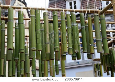 Green Bamboo Sticks. Green Bamboo Tubes Hang Around The House.