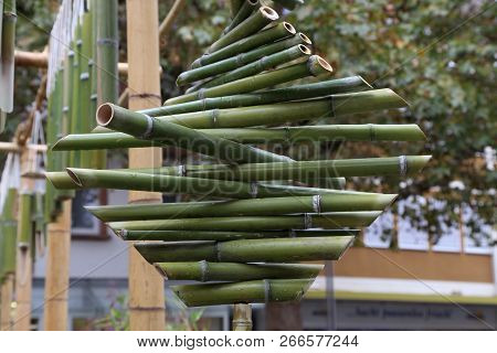Green Bamboo Sticks. Green Bamboo Tubes Hang Around The House.