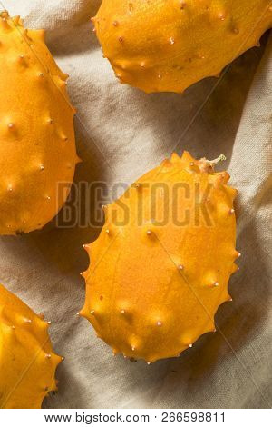 Raw Orange Organic  Kiwano Horned Melons