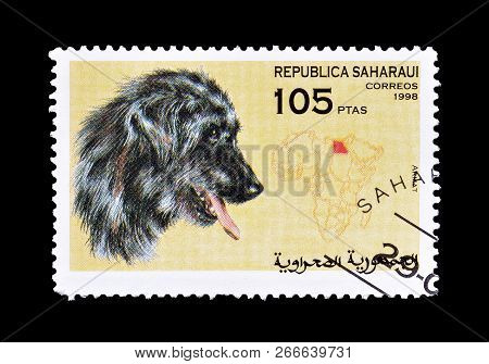 Republic Sahrawi - Circa 1998 : Cancelled Postage Stamp Printed By Republic Sahrawi, That Shows Arma