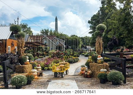 Pembroke, Kentucky - September 7, 2018: Amish And Mennonite Organized The Pumpkins Market For Thanks