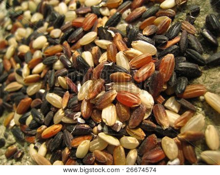 Multigrain riisi
