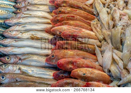 Fresh Fish Sold At A Fish Market By Fish Mongers