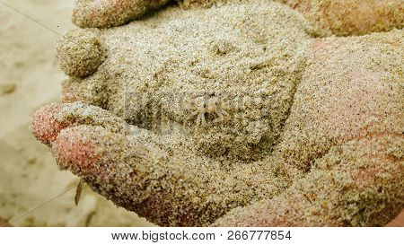 A Tiny Crab Sitting Camouflaged On Top Of A Pile Of Sand In The Palm Of A Persons Hand.  This Little