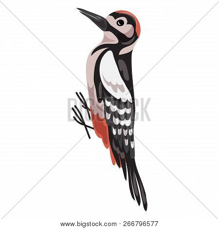 Woodpecker Icon. Cartoon Of Woodpecker Icon For Web Design Isolated On White Background
