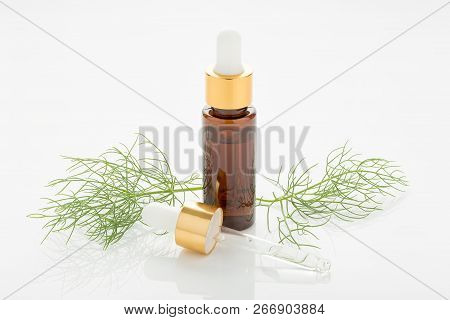 Fennel Essential Oil On White Background. Foeniculum Vulgare