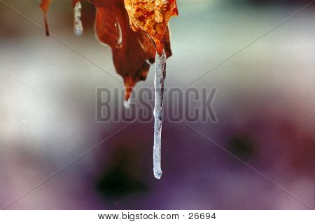 Le doigt de l'hiver