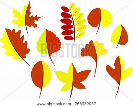 Autumn Leaves Of A Tree. Autumn Leaves Or Fall Foliage Icons.