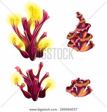 Set Of Colorful Marine Cartoon Partially Eaten Algae And Coral Polyps Isolated On White Background. 