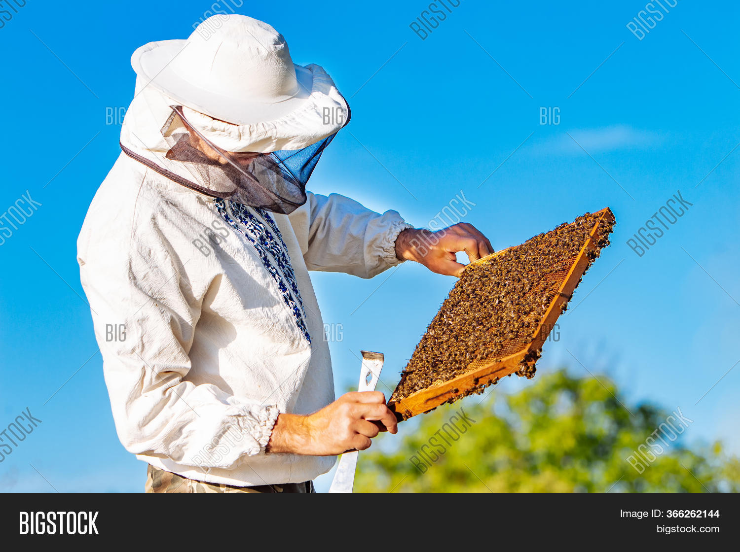 Imagen y foto Young Beekeeper (prueba gratis) Bigstock