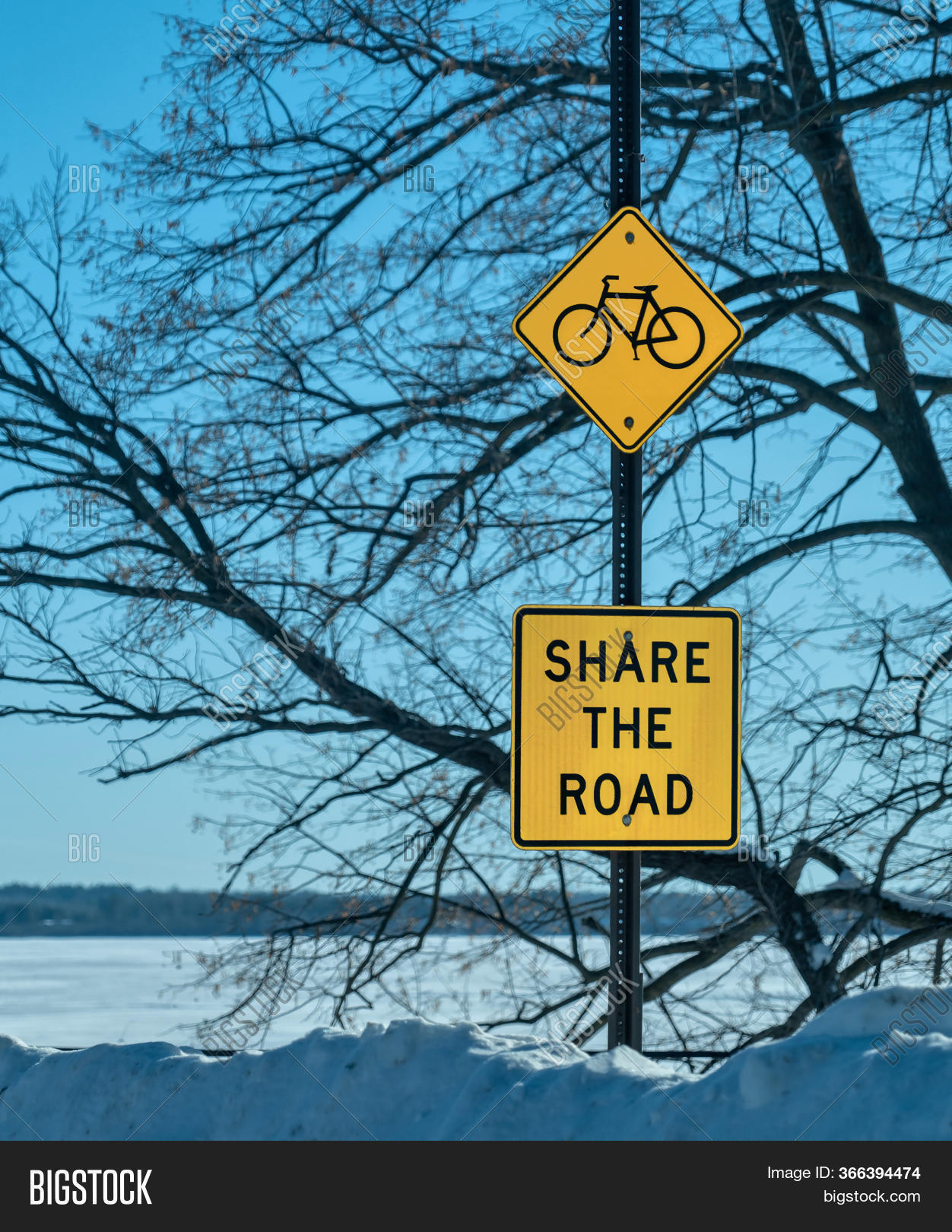 Share Road Bicycle Image & Photo (Free Trial) | Bigstock