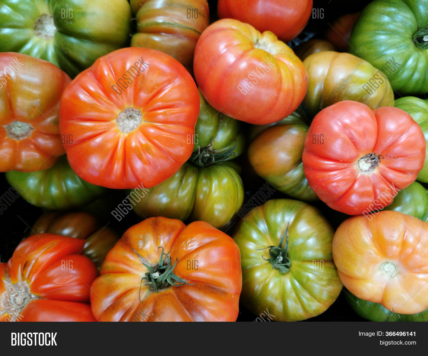 Red Green Tomatoes Image & Photo (Free Trial) Bigstock
