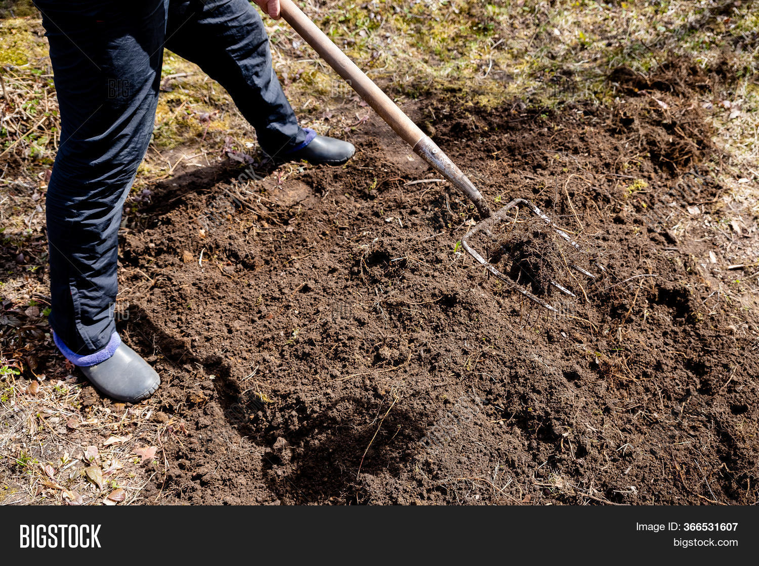Farmer Working Garden Image Photo Free Trial Bigstock