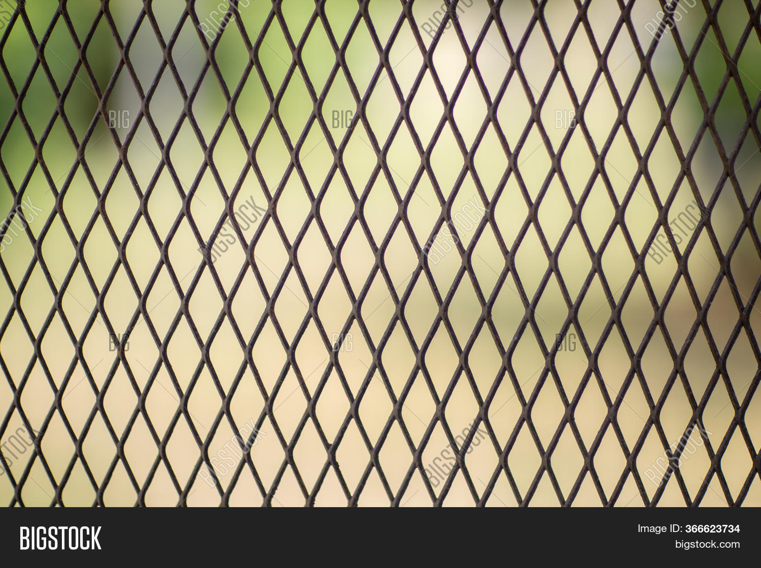 Iron Wire Fence. Fence Image & Photo (Free Trial) Bigstock