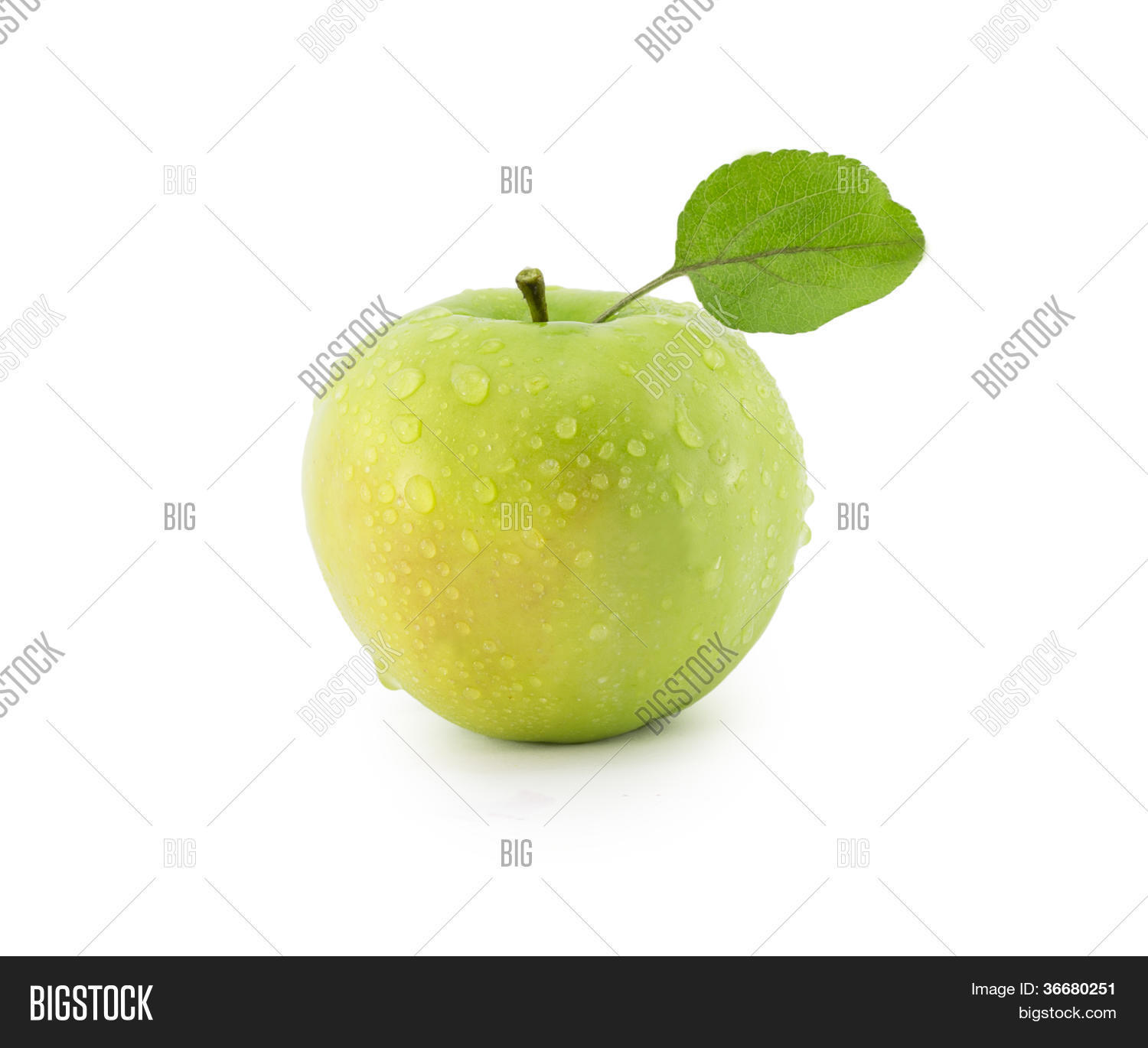 Image Preview