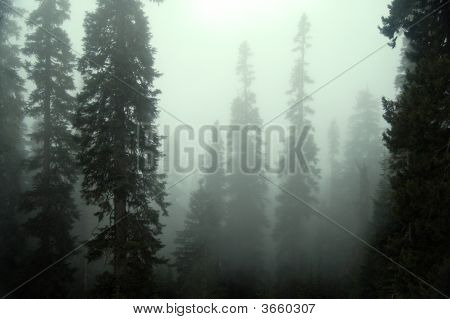 Mystic mlha