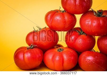 Freshly Picked Tomatoes Piled With Yellow Background.