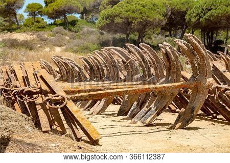 View Of A Cemetery Of Anchors Placed Near Conil De La Frontera, Spain