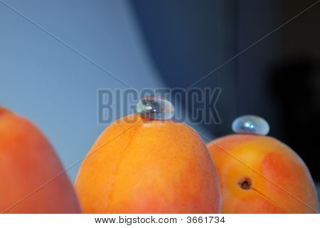 aprikoosi