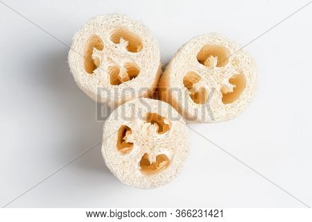 Luffa Loofah. Vegetable Sponge Extracted From The Luffa Plant On Light Background. Eco Friendly Loof