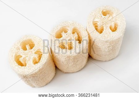 Luffa Loofah. Vegetable Sponge Extracted From The Luffa Plant On Light Background. Eco Friendly Loof