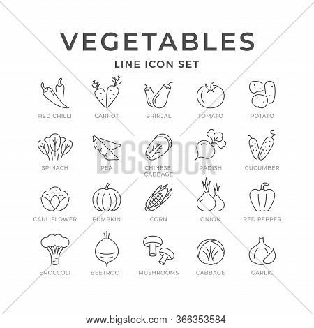 Set Line Icons Of Vegetables Isolated On White. Red Chilli, Mushrooms, Carrot, Brinjal, Cauliflower 
