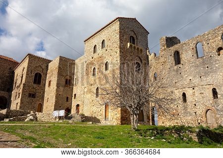 Palace Of Despots And A Leafless Tree In Archeological Site Of Mystra Near The Mystras City, Greece,