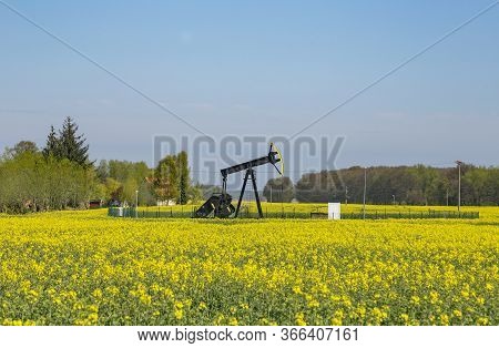 Production Of Mineral Oil On The German Island Usedom In Luetow