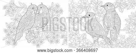 Coloring Pages Vector Photo Free Trial Bigstock