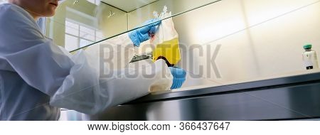Placental Cord Blood Bank Donated Blood Unit Prepared By Gloved Hands Isolated.