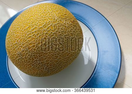 Melon Is Round, Not Cut. Close Up.