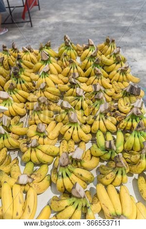 Large Quantity Of Banana Bunches At Fruit Stand In Geylang, Singapore