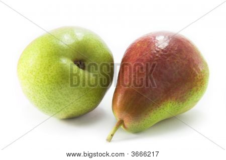 코렐라 배입니다.