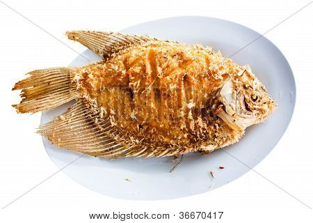Fried Fish