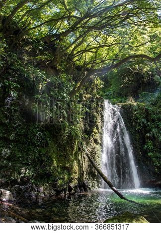 Walk And Discover The Prego Salto Waterfall On The Island Of Sao Miguel, Azores.