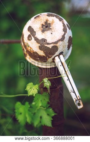 Old Rusty Ladle Hanging On The Vineyard In The Summer Garden.