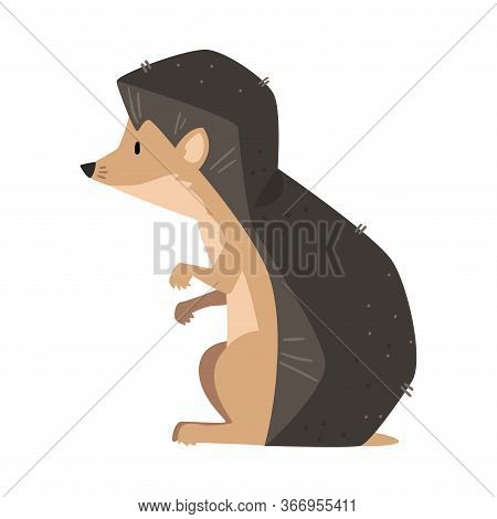 Cute Sitting Hedgehog Vector Photo Free Trial Bigstock When the characters are playing poker, leon is the first person after cousin andy (the dealer). bigstock